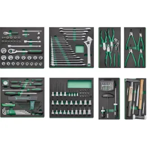 Stahlwille - 93/201QR Assortimento TCS da 201 pezzi