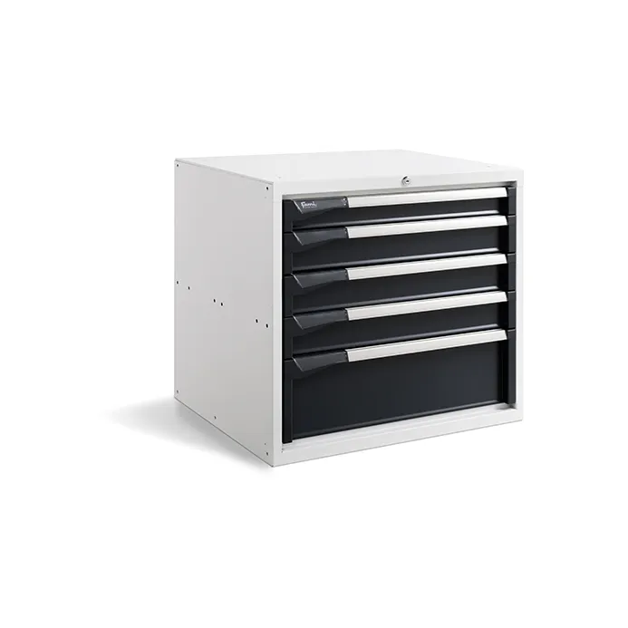 Fami - Armadio L713 mm con 5 cassetti 1x75 3x100 1x200