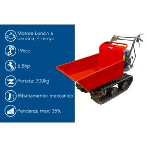 Ama - Motocarriola cingolata Dumper TAG300TD