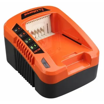 Ama - Caricabatteria rapido per batterie da 40V