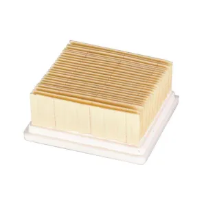 Cleancraft - Filtro aria per dryCAT15 e dryCAT15B