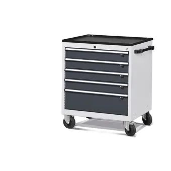Fami - Armadio con ruote con 5 cassetti 4x100 1x200