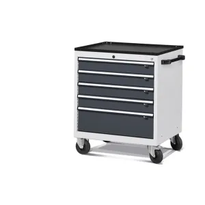 Fami - Armadio con ruote con 5 cassetti 4x100 1x200