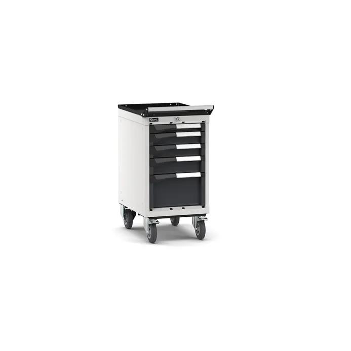Fami - Armadio con ruote con 5 cassetti 1x50 2x75 1x100 1x200