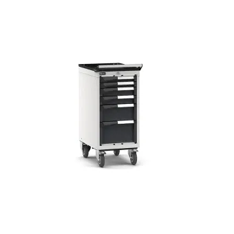 Fami - Armadio con ruote con 6 cassetti 2x50 2x75 1x150 1x200
