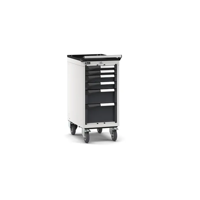 Fami - Armadio con ruote con 6 cassetti 2x50 2x75 1x150 1x200
