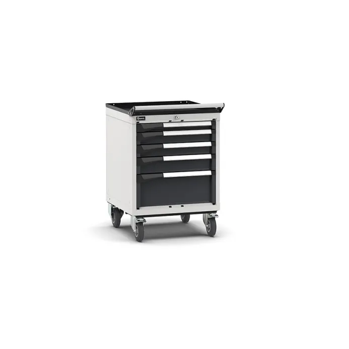 Fami - Armadio con ruote con 5 cassetti 1x50 2x75 1x100 1x200