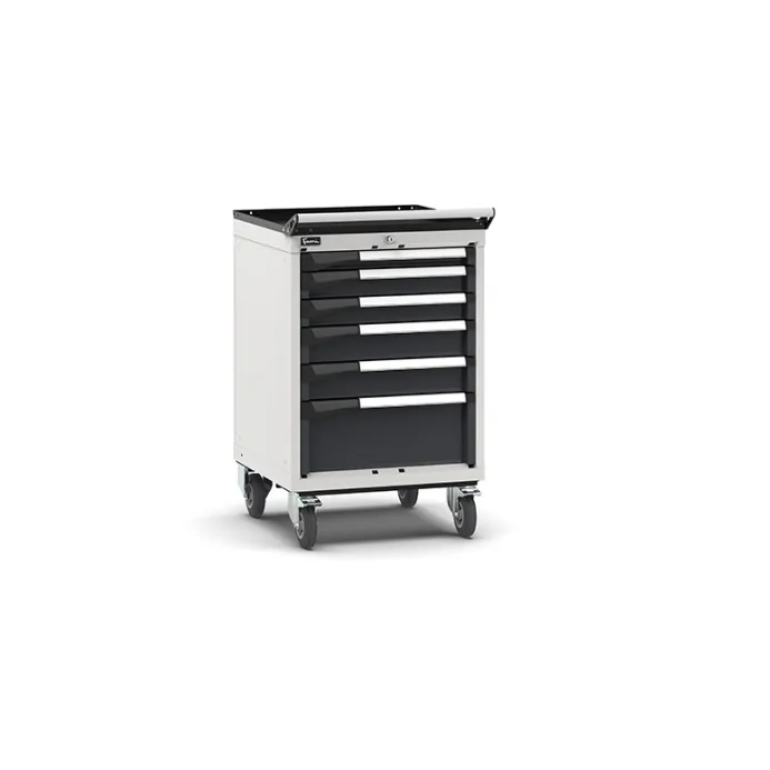 Fami - Armadio con ruote con 6 cassetti 1x50 2x75 2x100 1x200