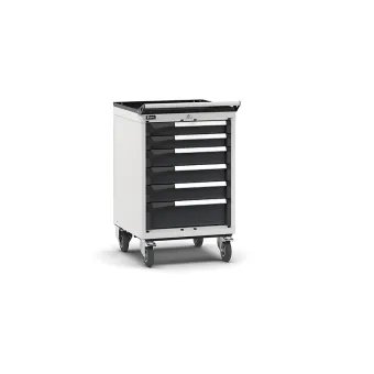 Fami - Armadio con ruote con 6 cassetti 2x75 3x100 1x150