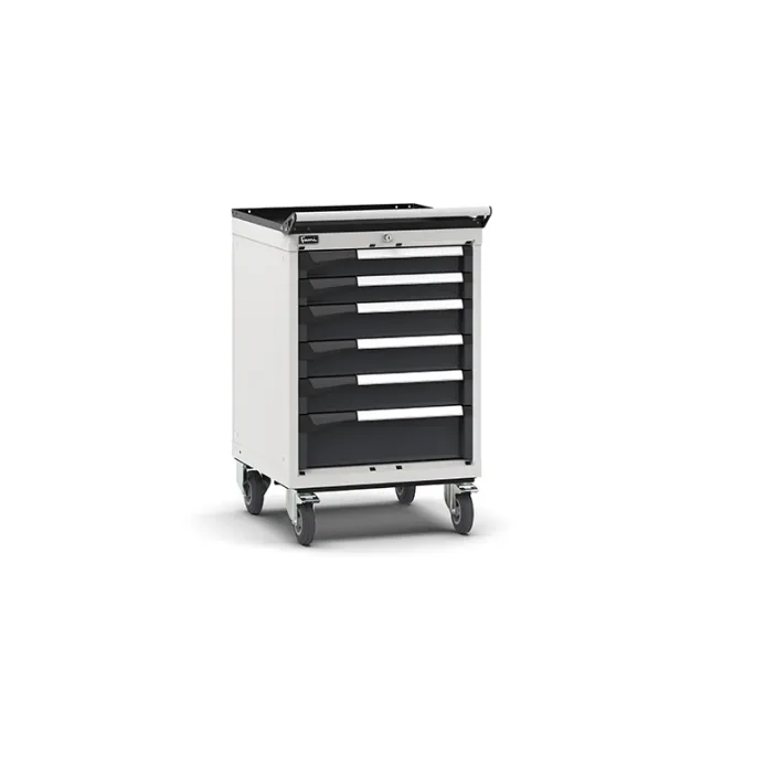 Fami - Armadio con ruote con 6 cassetti 2x75 3x100 1x150