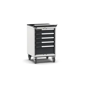 Fami - Armadio con ruote con 5 cassetti 4x100 1x200