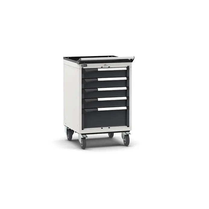 Fami - Armadio con ruote con 5 cassetti 4x100 1x200