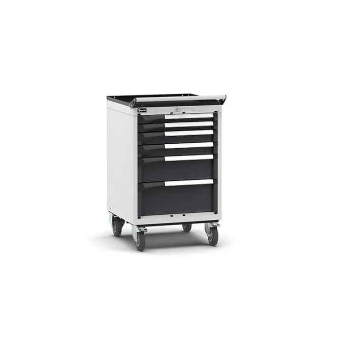 Fami - Armadio con ruote con 6 cassetti 2x50 2x75 1x150 1x200