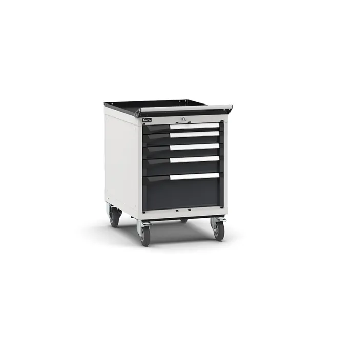 Fami - Armadio con ruote con 5 cassetti 1x50 2x75 1x100 1x200