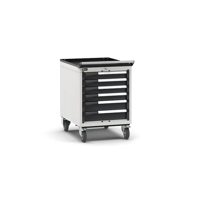 Fami - Armadio con ruote con 6 cassetti 4x75 2x100