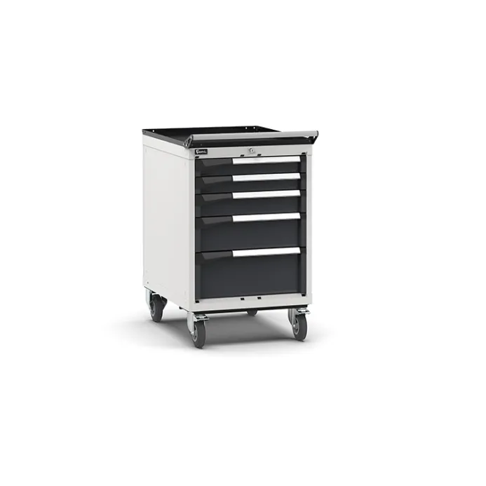 Fami - Armadio con ruote con 5 cassetti 2x75 1x100 1x150 1x200