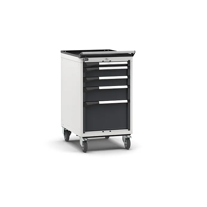 Fami - Armadio con ruote con 5 cassetti 1x50 2x100 1x150 1x300