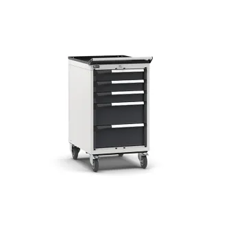 Fami - Armadio con ruote con 5 cassetti 3x100 2x200