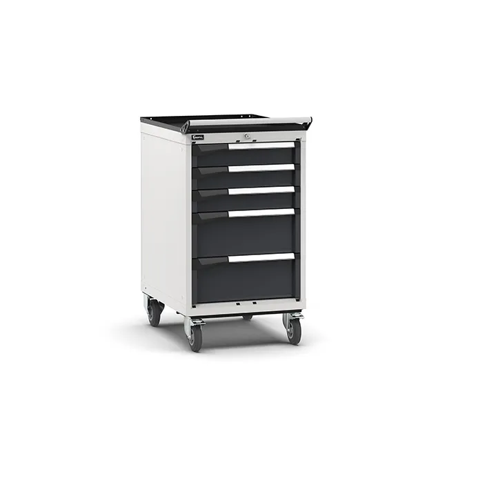 Fami - Armadio con ruote con 5 cassetti 3x100 2x200