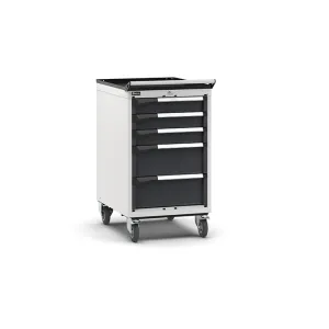 Fami - Armadio con ruote con 5 cassetti 3x100 2x200