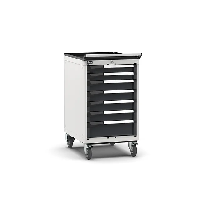 Fami - Armadio con ruote con 7 cassetti 2x75 4x100 1x150
