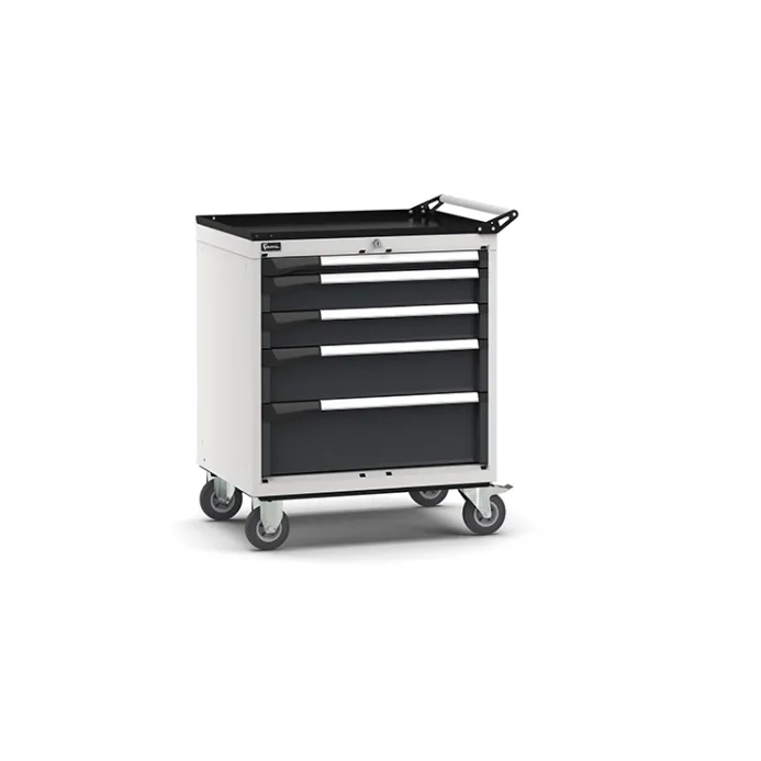 Fami - Armadio con ruote con 5 cassetti 1x50 2x100 1x150 1x200