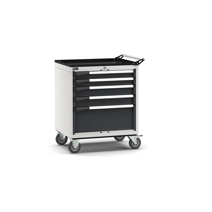 Fami - Armadio con ruote con 5 cassetti 2x75 2x100 1x250