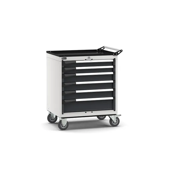 Fami - Armadio con ruote con 6 cassetti 2x75 3x100 1x150
