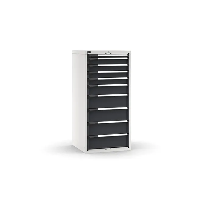 Fami - Armadio con 10 cassetti 1x50 4x100 1x150 4x200