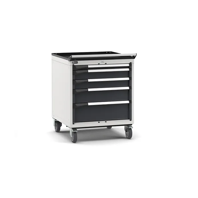Fami - Armadio con ruote con 5 cassetti 1x50 2x100 1x150 1x200