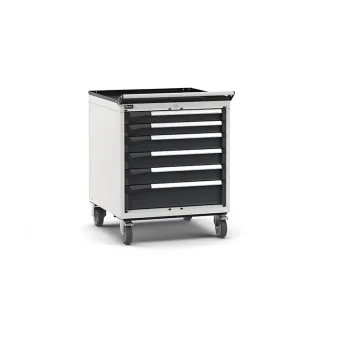 Fami - Armadio con ruote con 6 cassetti 2x75 3x100 1x150
