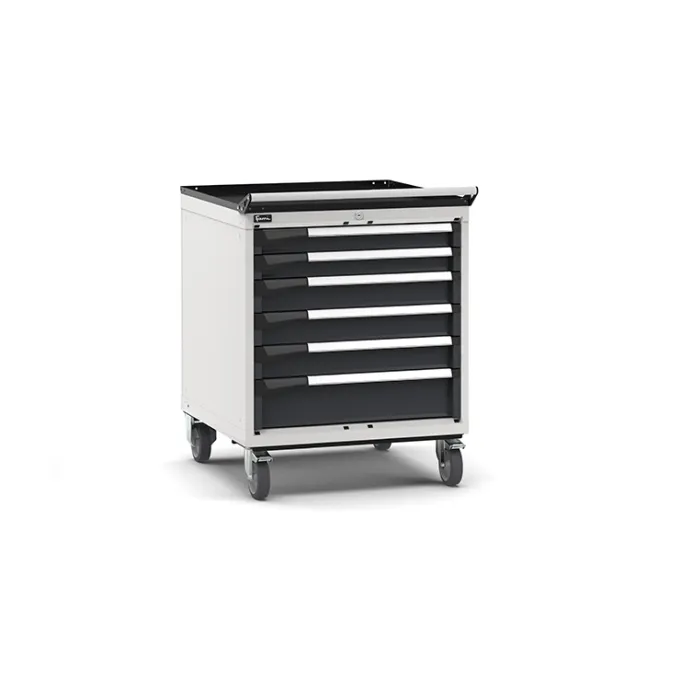 Fami - Armadio con ruote con 6 cassetti 2x75 3x100 1x150