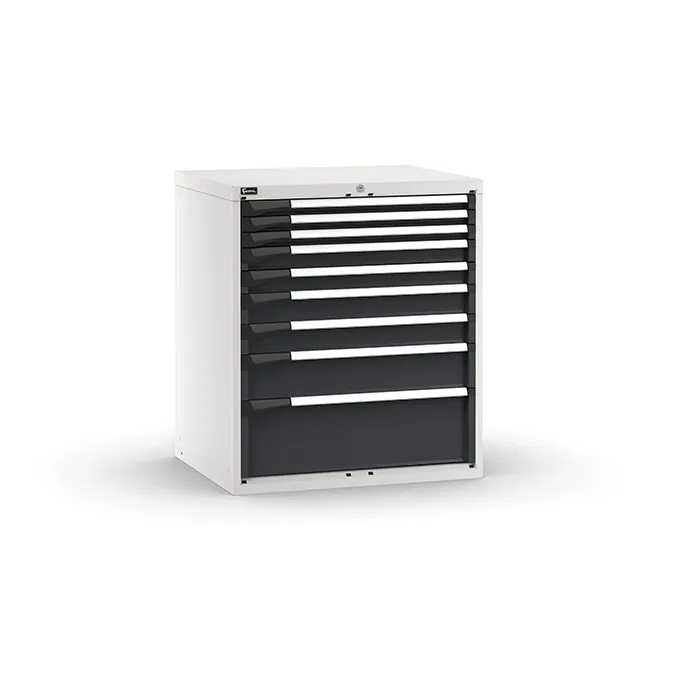 Fami - Armadio con 9 cassetti 3x50 2x75 2x100 1x150 1x250