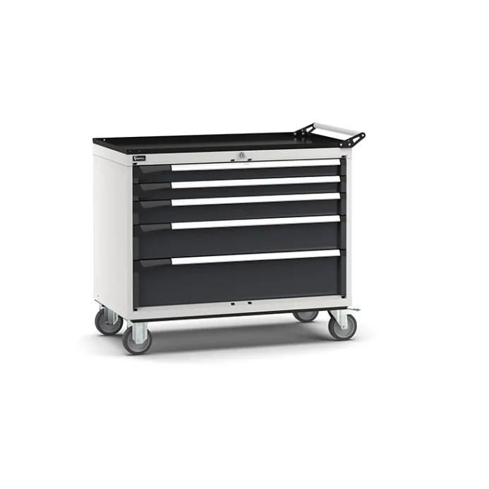 Fami - Armadio con ruote con 5 cassetti 2x75 1x100 1x150 1x200