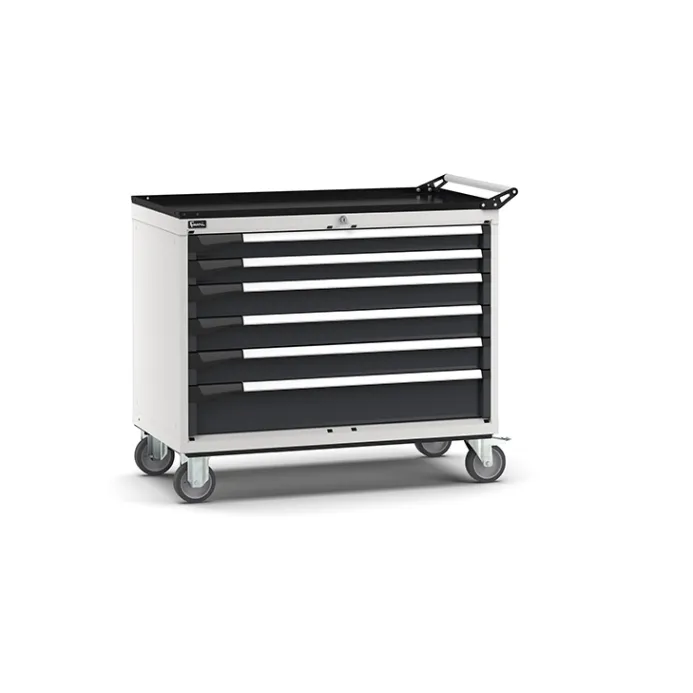 Fami - Armadio con ruote con 6 cassetti 2x75 3x100 1x150