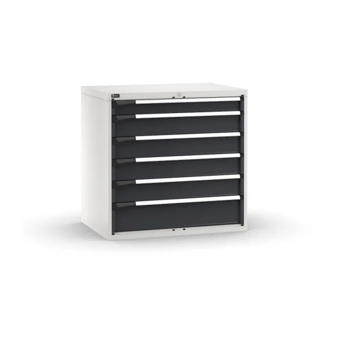 Fami - Armadio con 6 cassetti 1x100 4x150 1x200